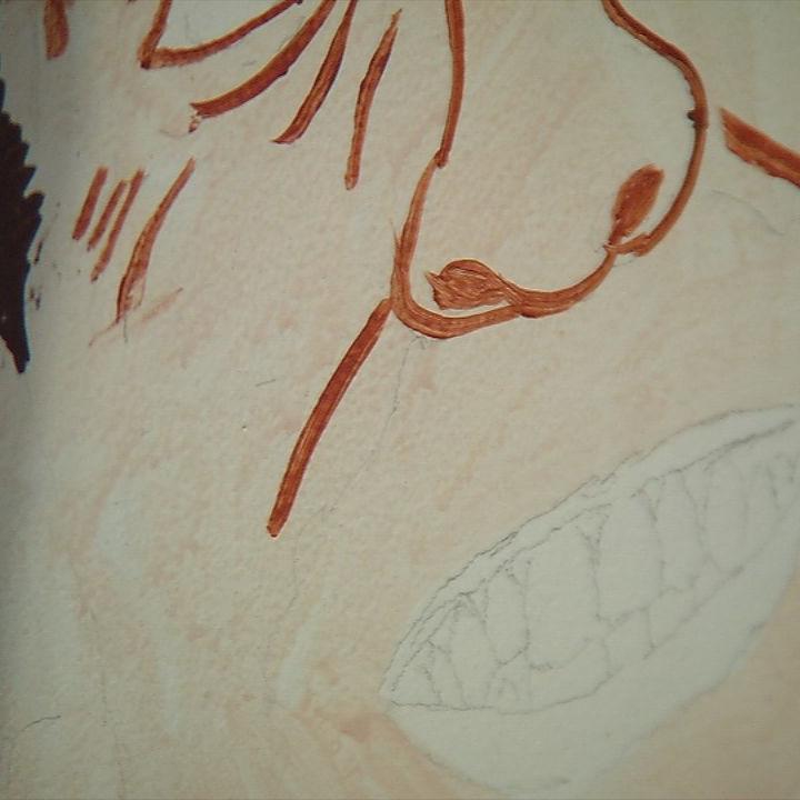 BACK DOOR FACES 11-9-19.jpg